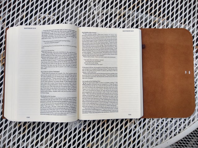 ESV Single Column Journaling Bible, Large Print, Mocha Bonded Leather:  9781433555381 